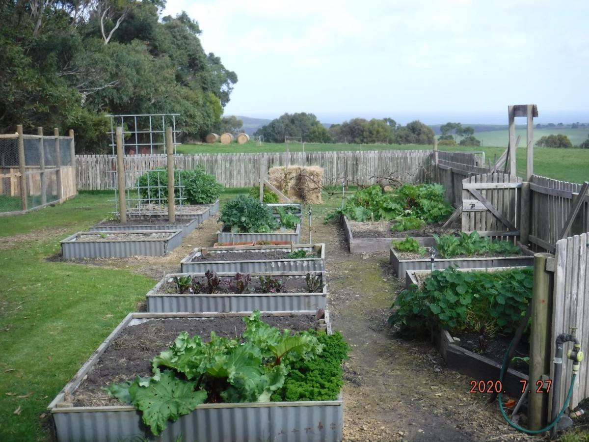 Arabella Country House Bed and Breakfast Princetown Buitenkant foto